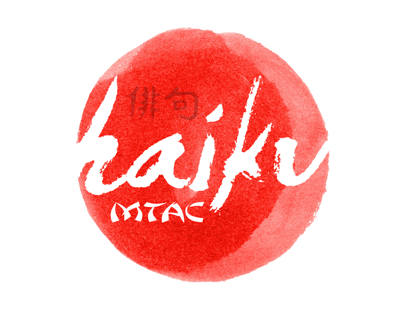 haiku-logo-flat-white